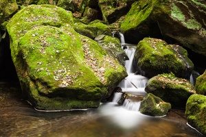 JUS 20121006 IMG 0617
