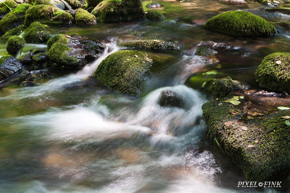 JUS_20150704__MG_3605.jpg