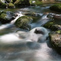 JUS_20150704__MG_3607.jpg