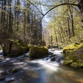 JUS_20160430__MG_4339.jpg