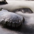 JUS_20100311_IMG_5939.jpg