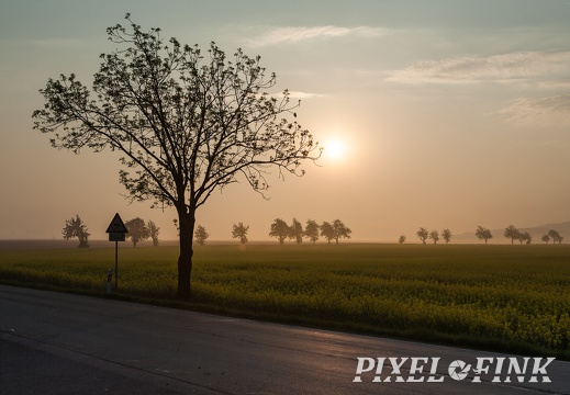 Frühling