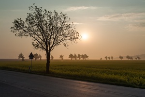 JUS 20090430 IMG 2961