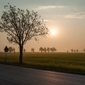 JUS_20090430_IMG_2961.jpg