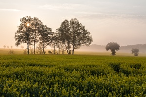 JUS 20090430 IMG 2965