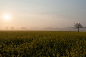JUS 20090430 IMG 2972