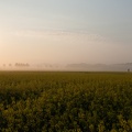 JUS_20090430_IMG_2972.jpg