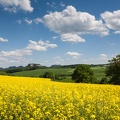 JUS_20130519_IMG_1035.jpg