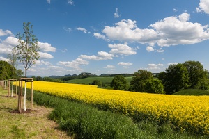 JUS 20130519 IMG 1037
