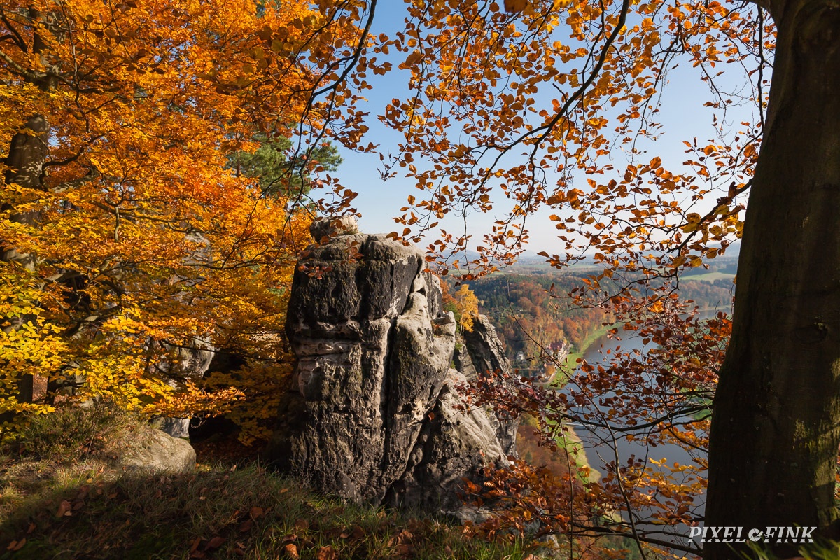 JUS_20091030_IMG_5504.jpg
