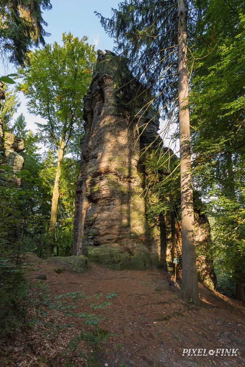 AS_20170922__MG_2171.jpg