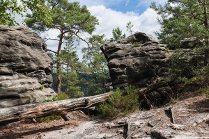 JUS 20110623 IMG 8912