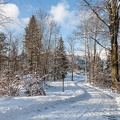 JUS_20160118__MG_4176.jpg