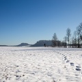 JUS_20170215__MG_0600.jpg