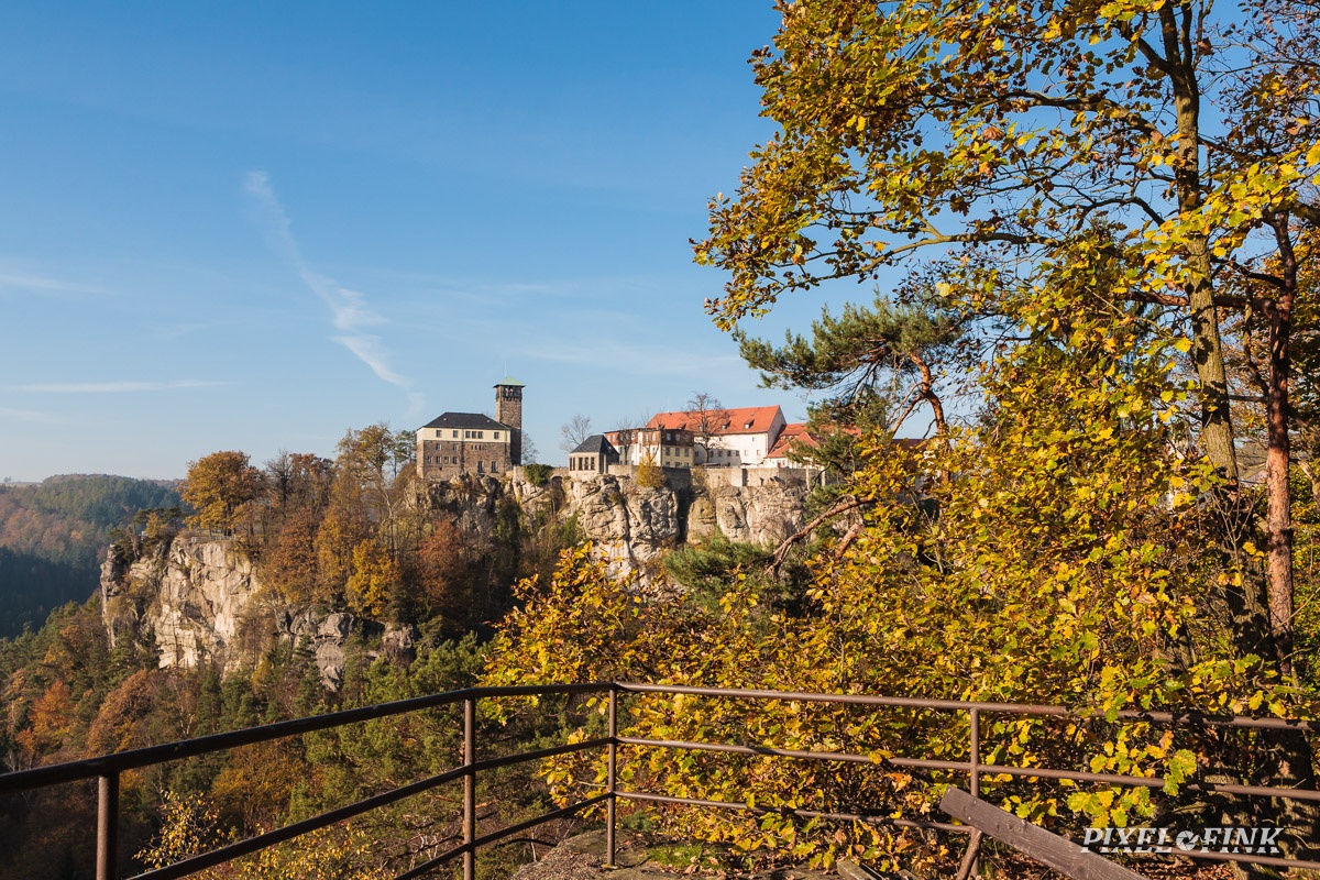 JUS_20141101__MG_2637.jpg