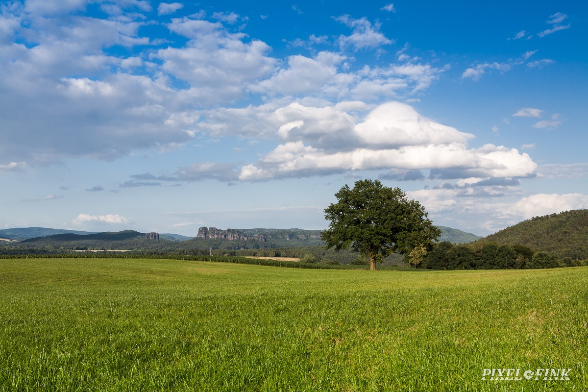 JUS_20150709__MG_3714.jpg