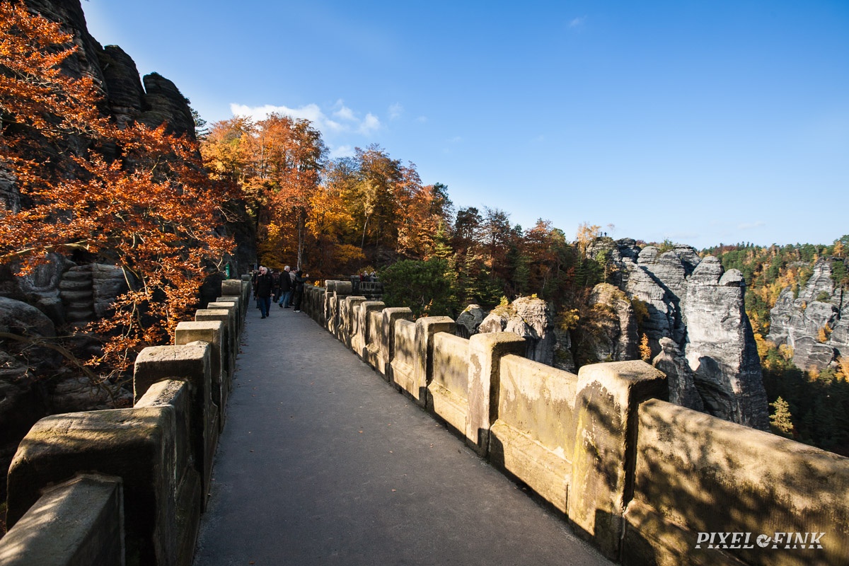 JUS_20091030_IMG_5501.jpg