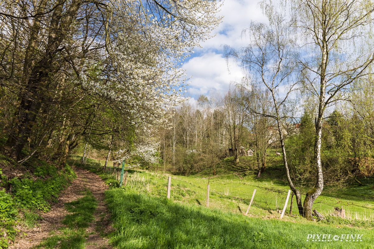 JUS_20170414__MG_0698.jpg