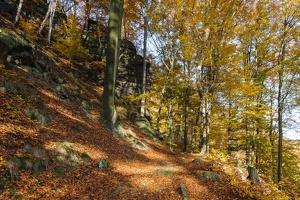 JUS 20091030 IMG 5532