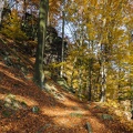 JUS_20091030_IMG_5532.jpg