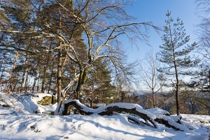 AS 20160122  MG 0240