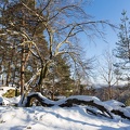 AS_20160122__MG_0240.jpg