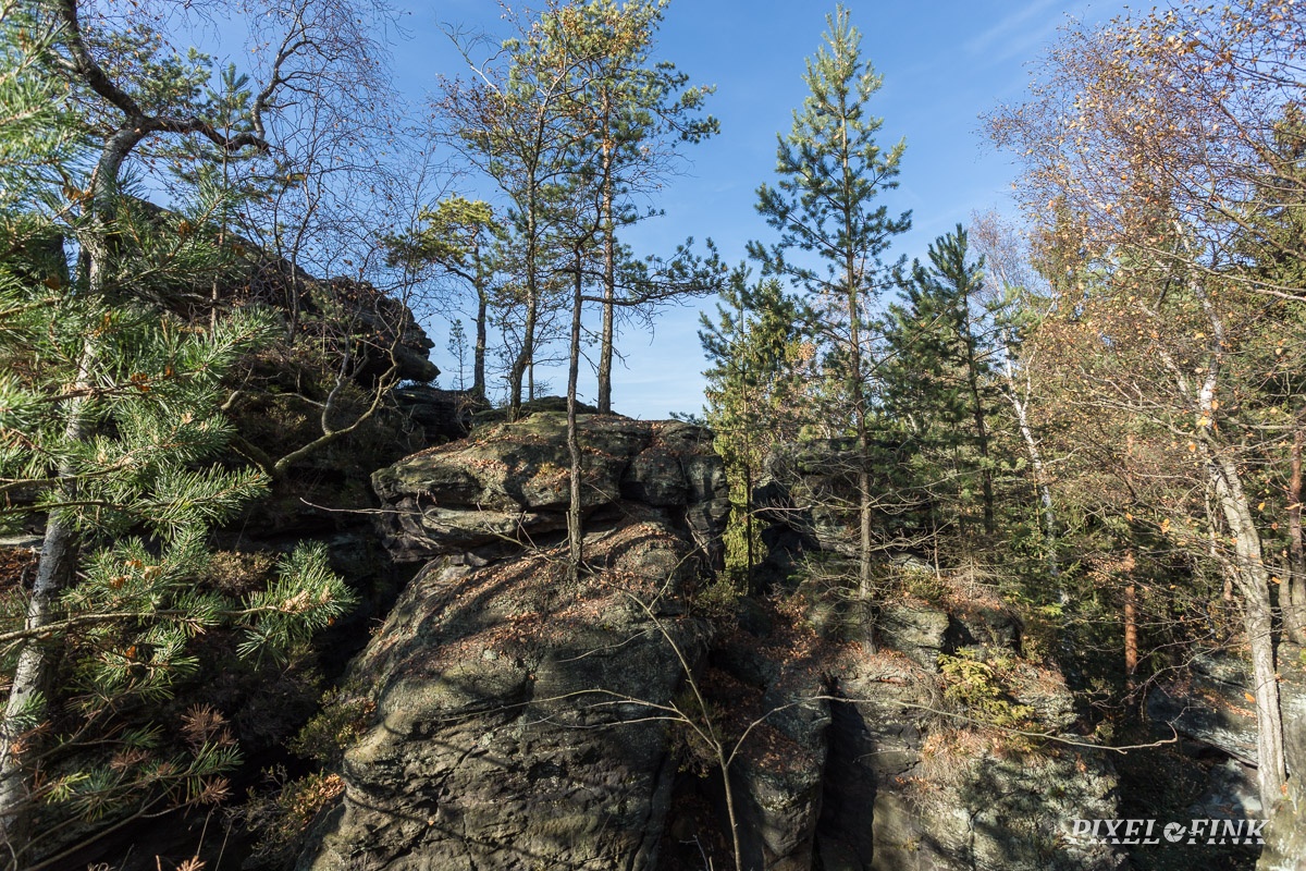 AS_20171019__MG_2494.jpg