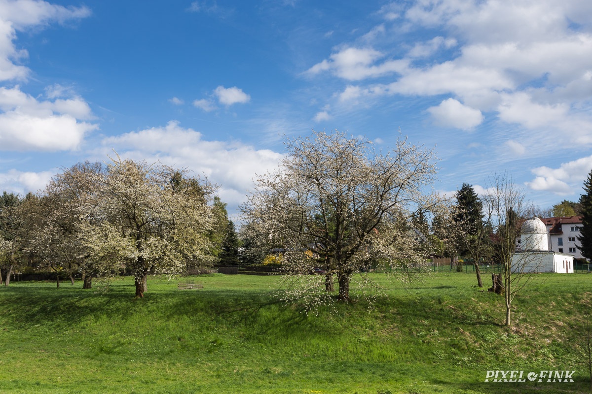 AS_20170414__MG_1716.jpg
