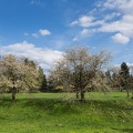 AS_20170414__MG_1716.jpg