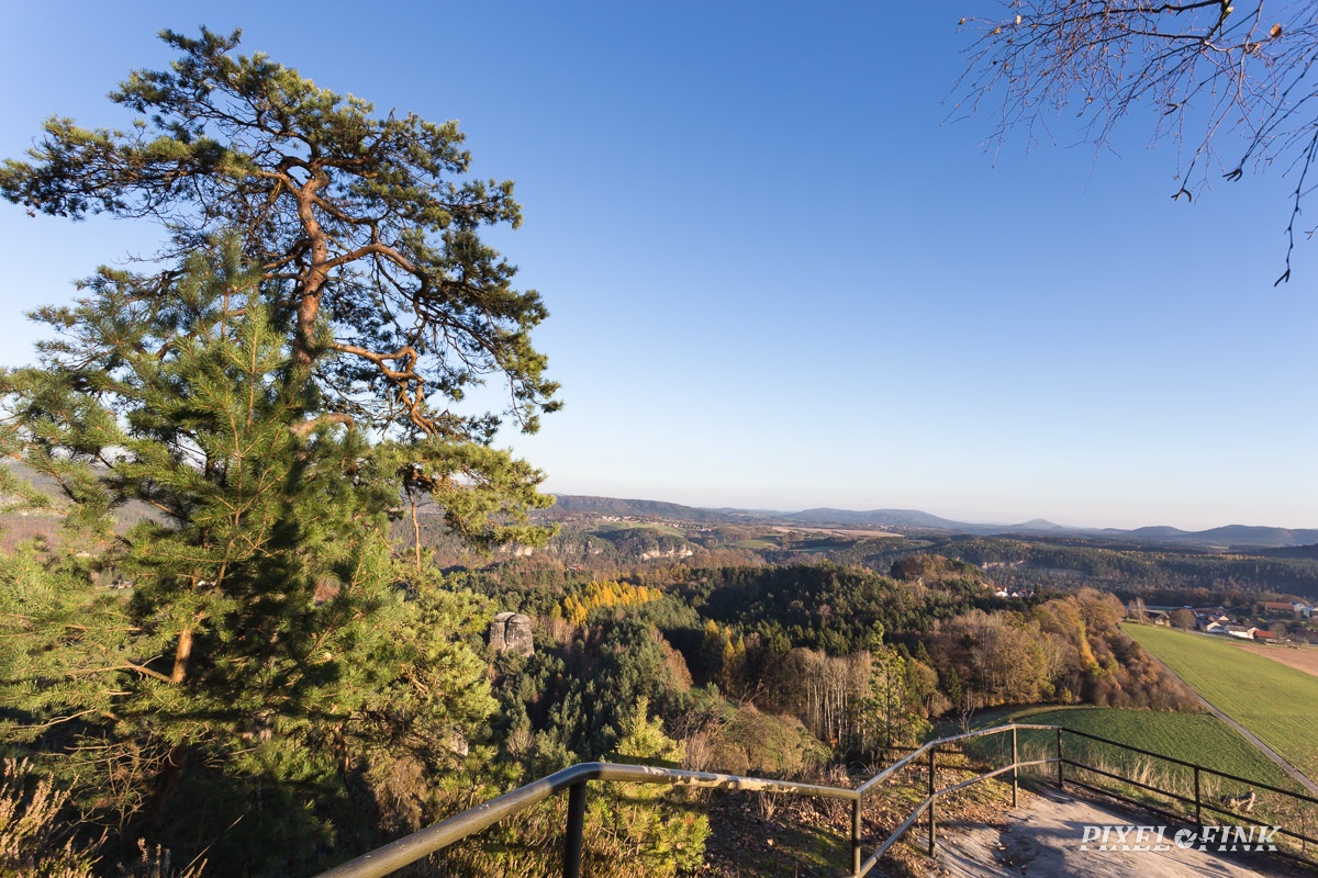 AS_20161114__MG_1429.jpg