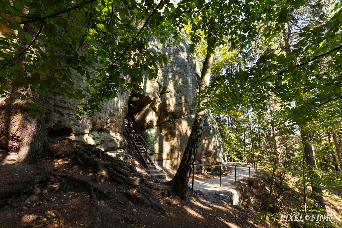 AS_20170929__MG_2241.jpg
