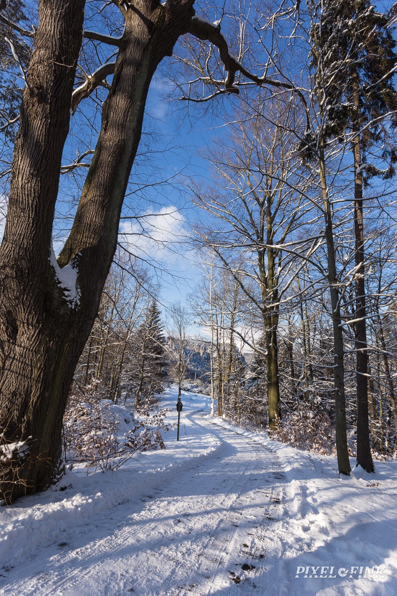 AS_20160118__MG_0144.jpg