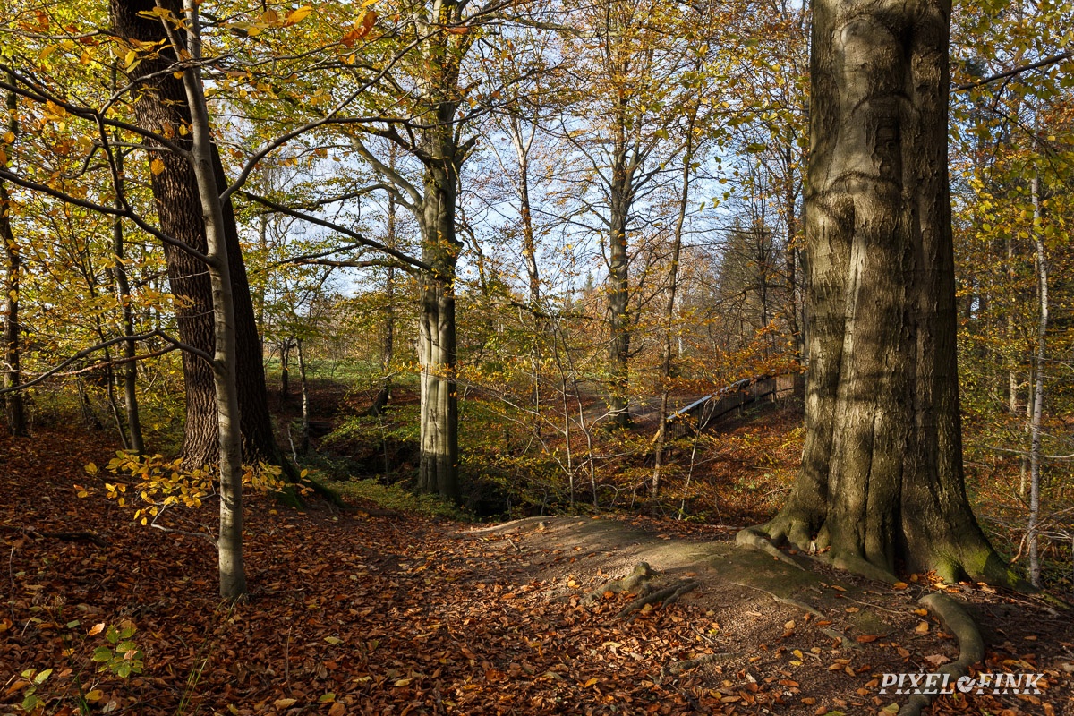 AS_20171103__MG_2628.jpg