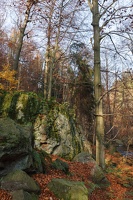 AS 20111106 IMG 2704