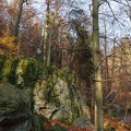 AS_20111106_IMG_2704.jpg