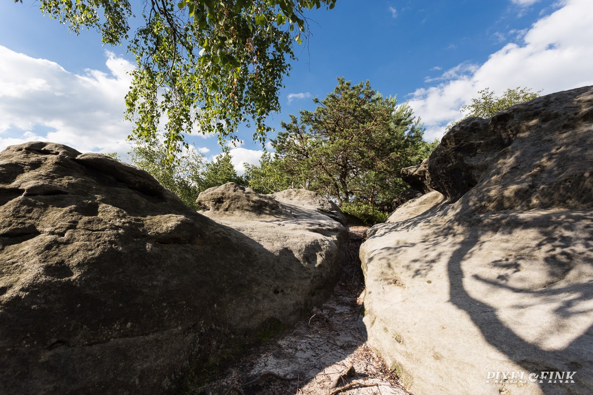 AS_20160704__MG_0927.jpg