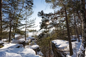 AS 20160122  MG 0231