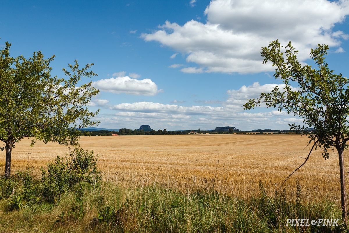 JUS_20120812_IMG_0409.jpg