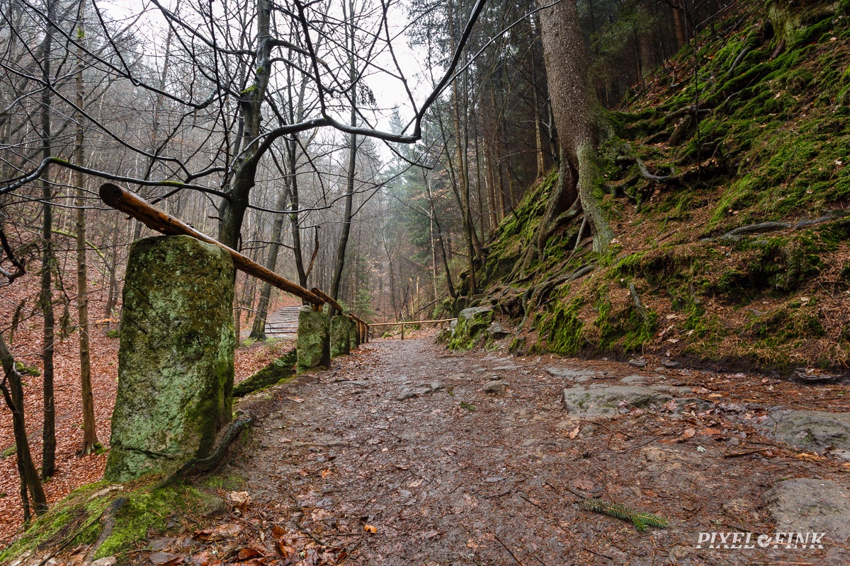 AS_20180127__MG_2894.jpg