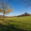 AS_20171017__MG_2385.jpg