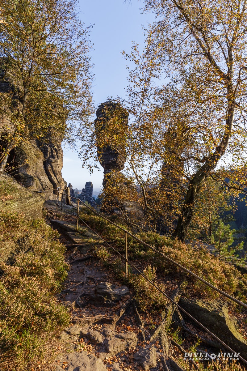 JUS_20171019__MG_1611.jpg