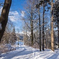 AS_20160118__MG_0148.jpg