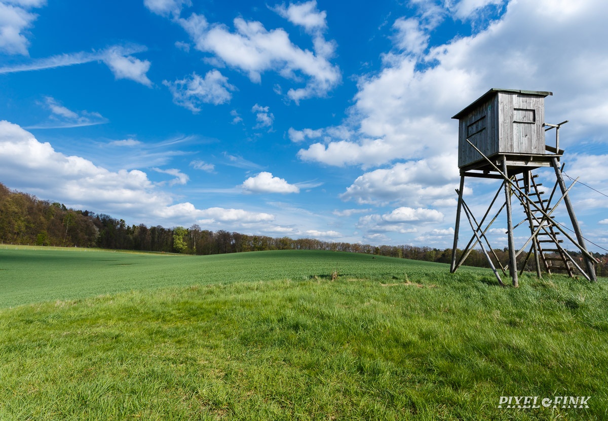 AS_20170414__MG_1705.jpg