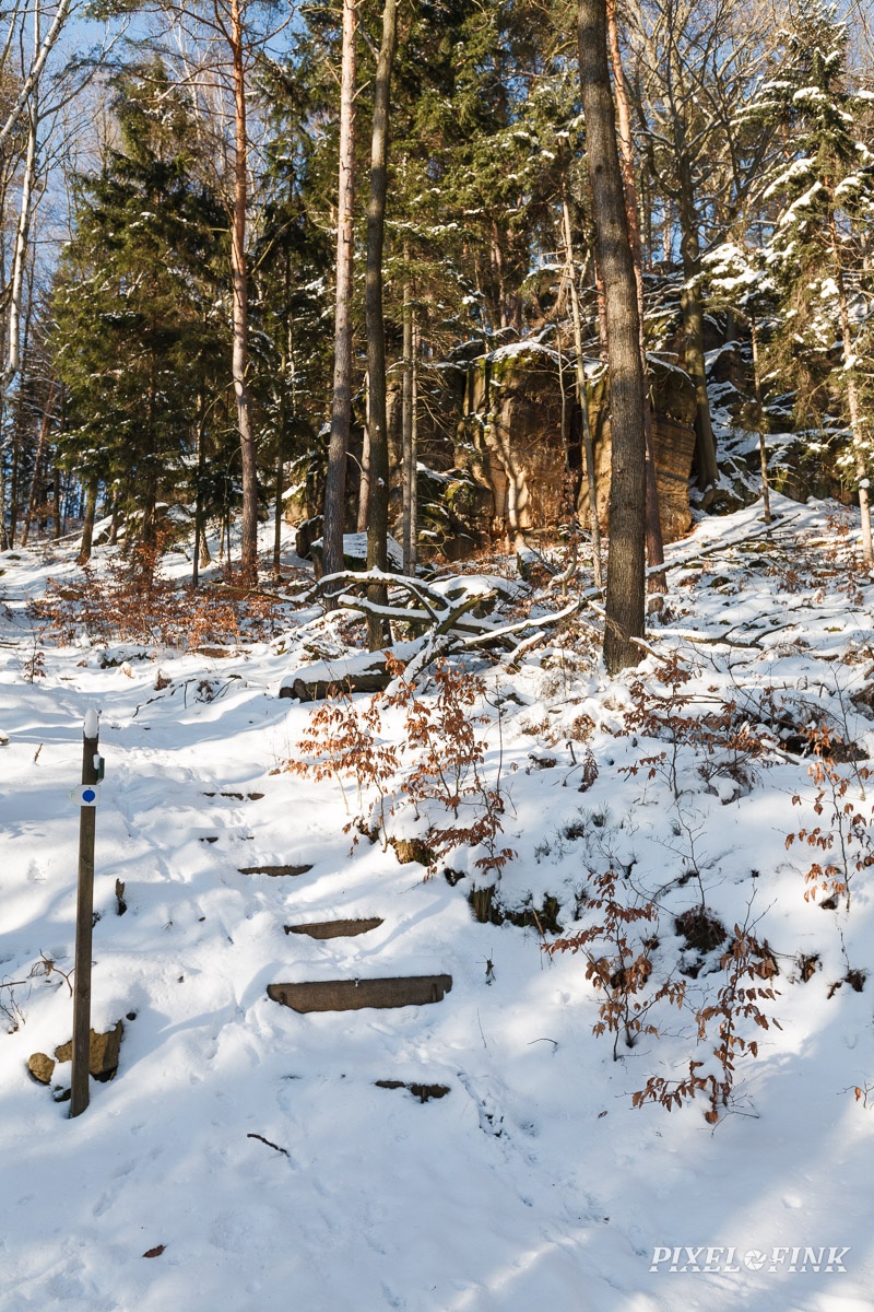 JUS_20160122__MG_4211.jpg
