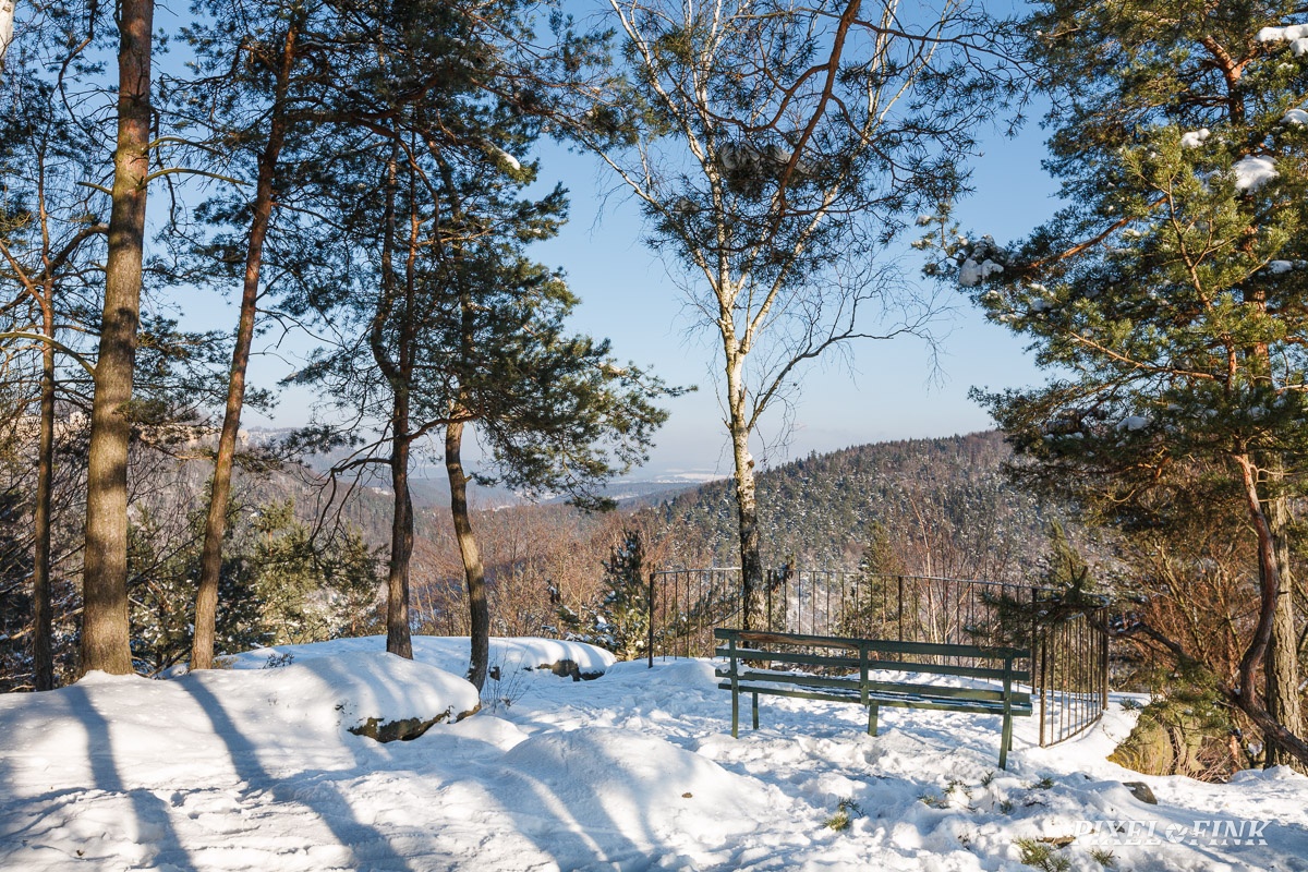 JUS_20160122__MG_4223.jpg