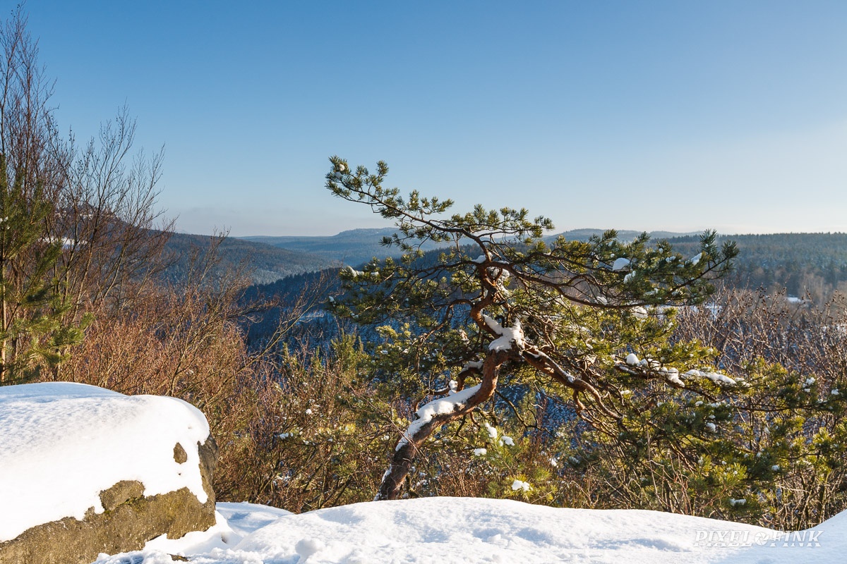 JUS_20160122__MG_4233.jpg