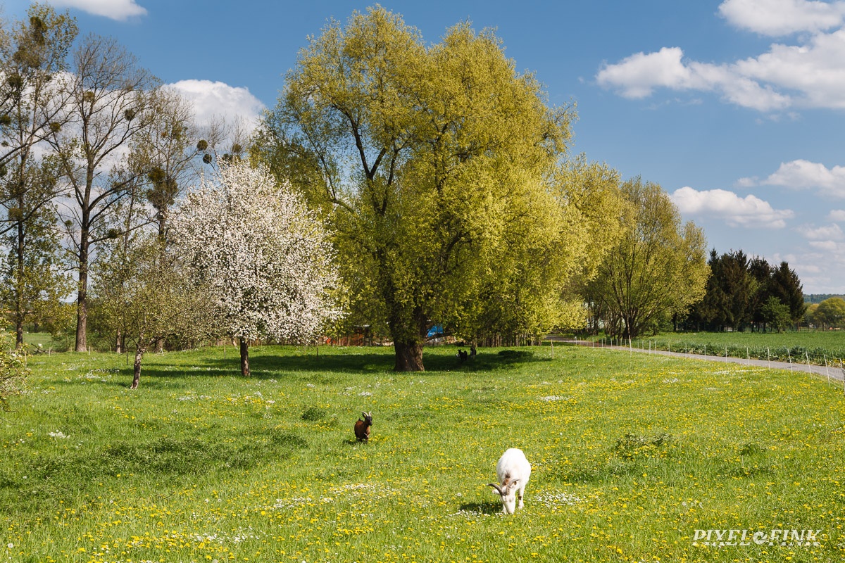 JUS_20150502__MG_3228.jpg