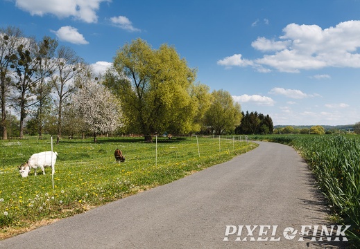 Landleben