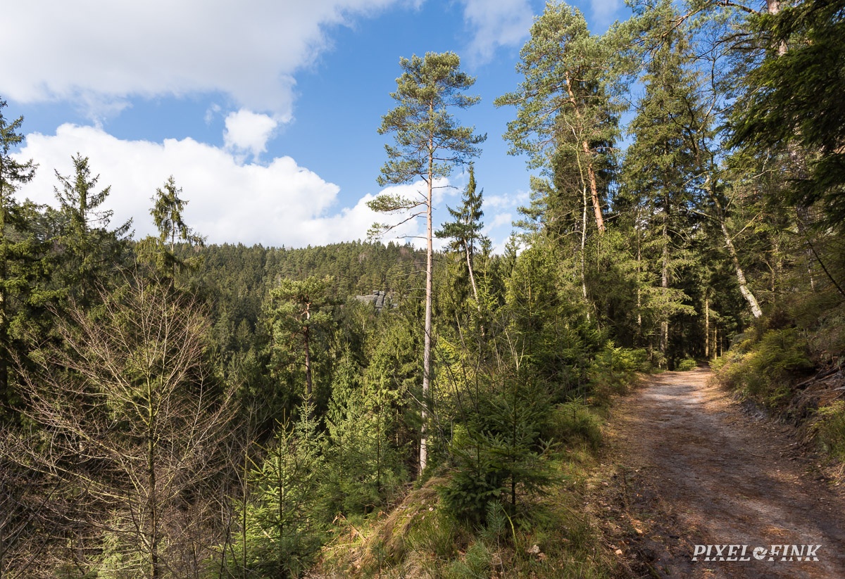 AS_20180327__MG_2980.jpg
