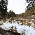 AS_20180318__MG_2974.jpg